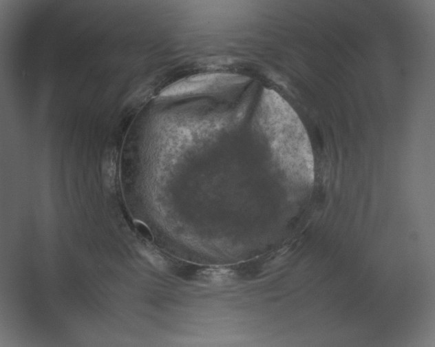 X0000067480427200604211638