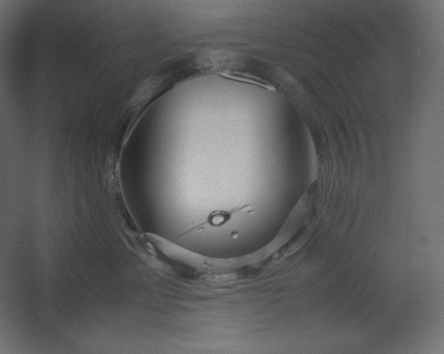 X0000067480429200604211638