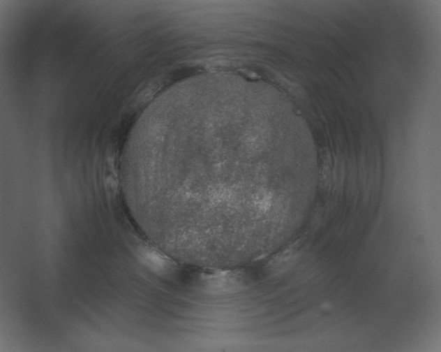 X0000067480430200604211638