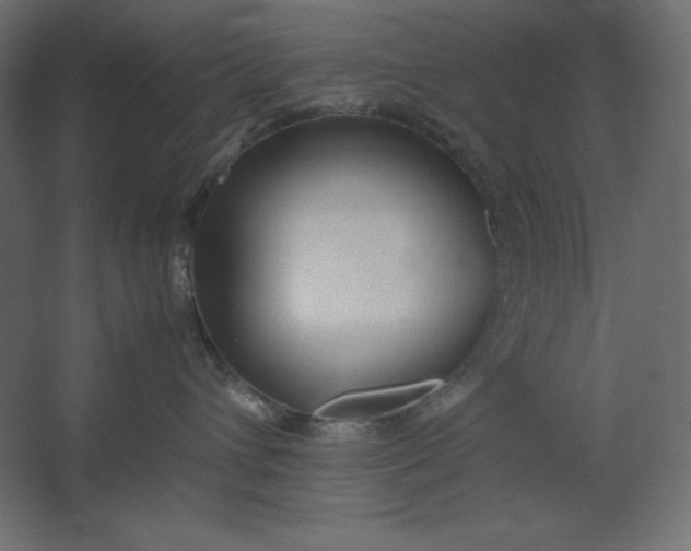 X0000067480432200604211638