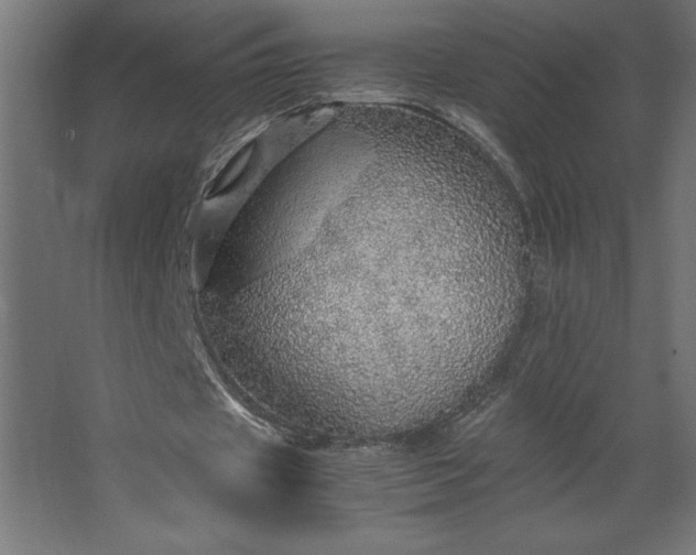 X0000067480433200604211637