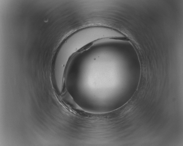 X0000067480434200604211637