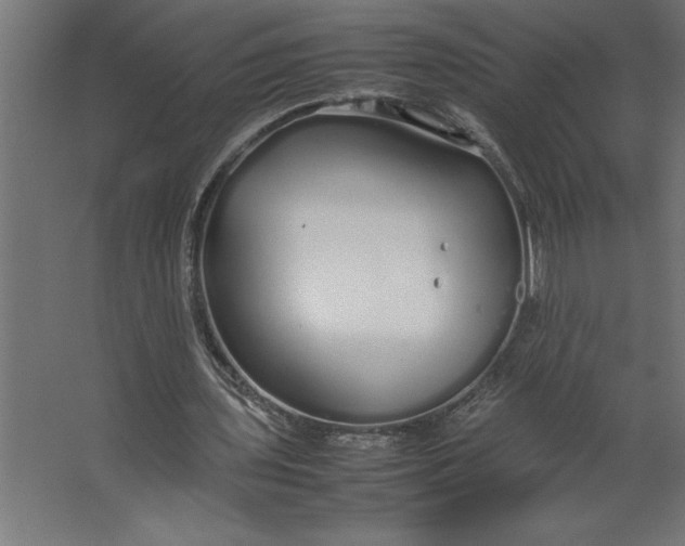 X0000067480435200604211637