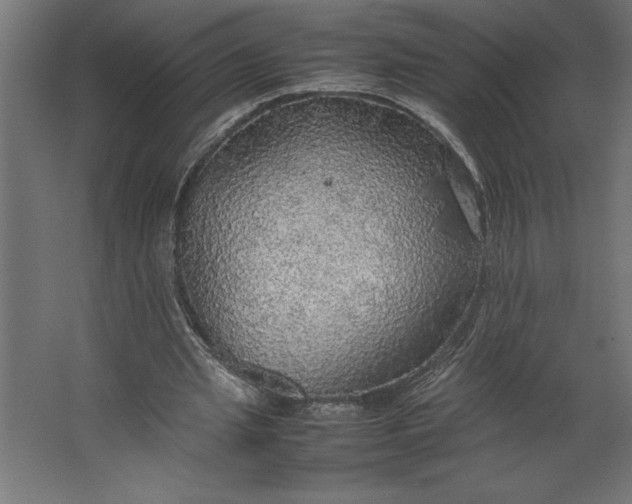 X0000067480437200604211637