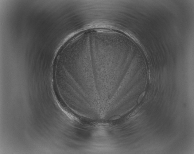 X0000067480438200604211637