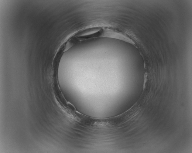 X0000067480440200604211637