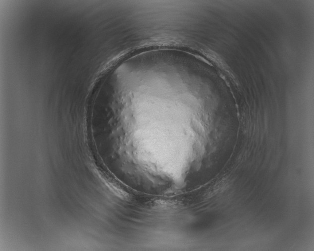 X0000067480442200604211637