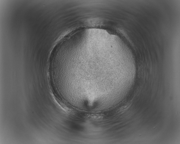 X0000067480443200604211637