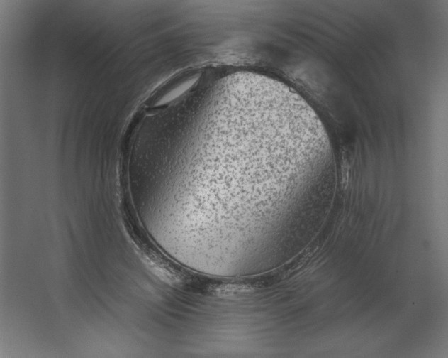 X0000067480444200604211637