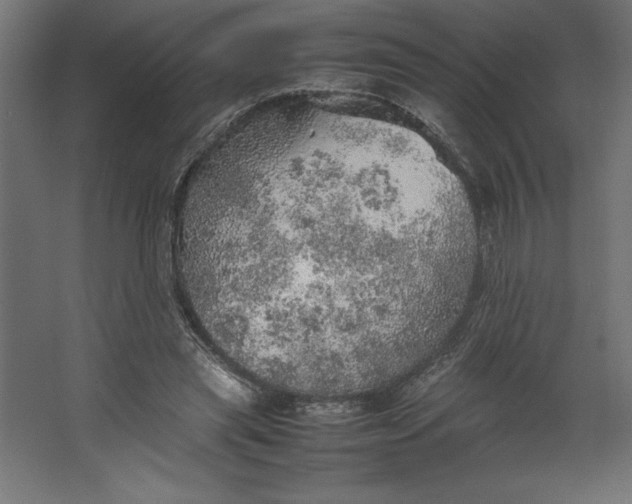 X0000067480445200604211637