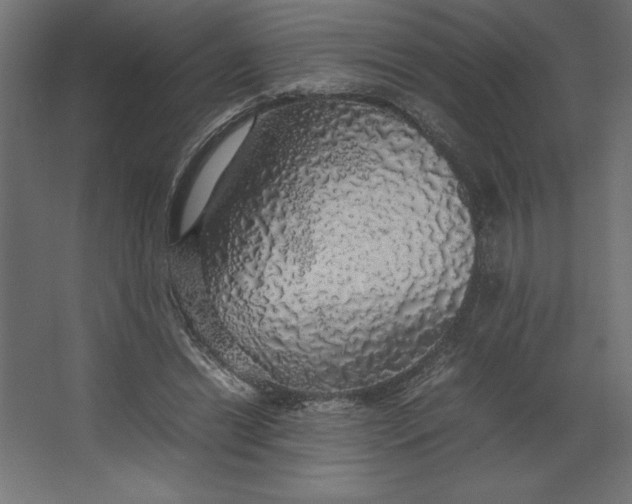 X0000067480446200604211637