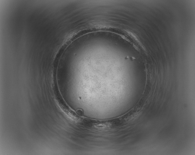 X0000067480447200604211637