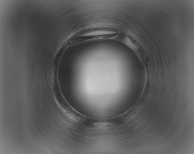 X0000067480448200604211637