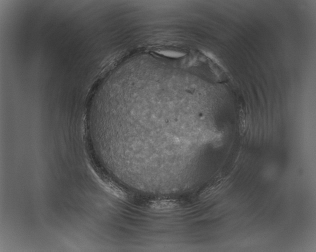 X0000067480451200604211637