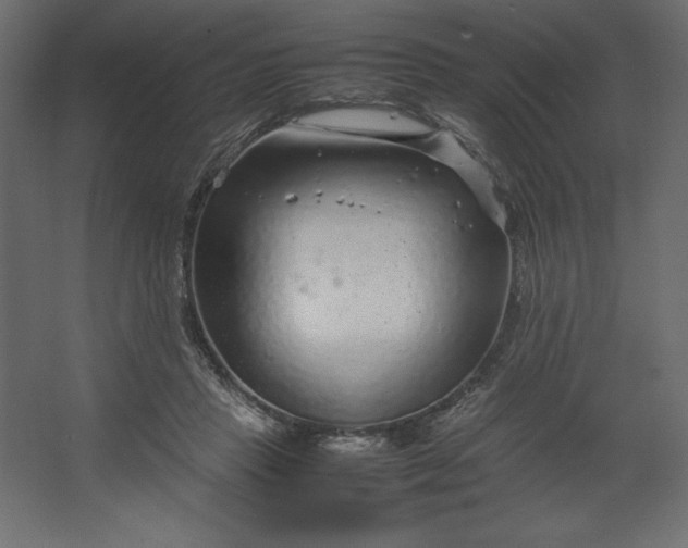 X0000067480453200604211637