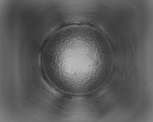 X0000067480454200604211637