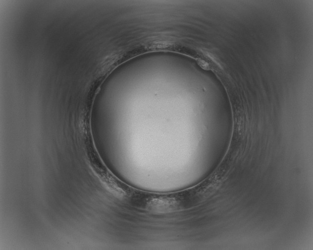 X0000067480455200604211637