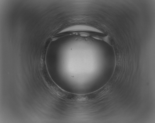 X0000067480456200604211637