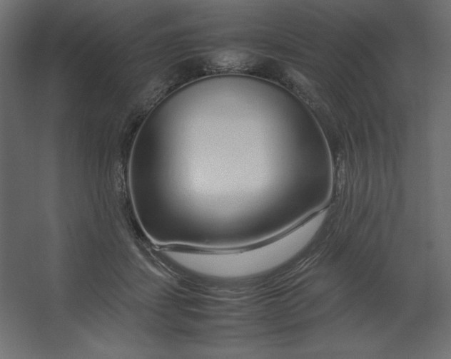 X0000067480459200604211637