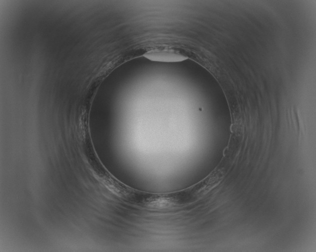 X0000067480460200604211637