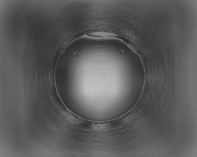 X0000067480461200604211637