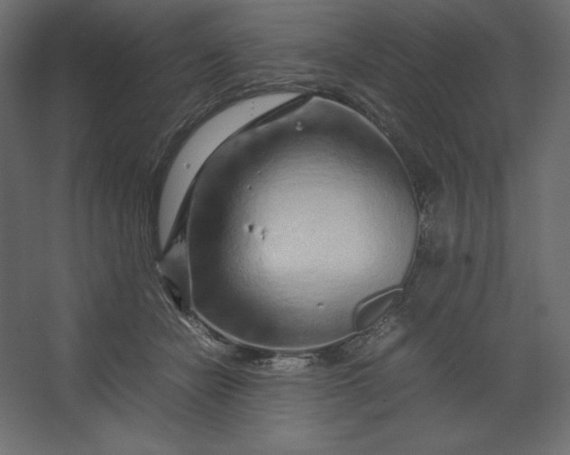 X0000067480462200604211637