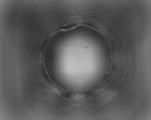 X0000067480463200604211637