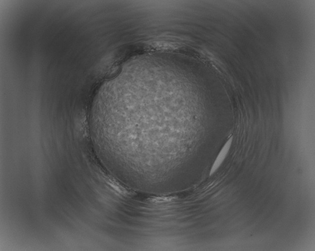 X0000067480465200604211637