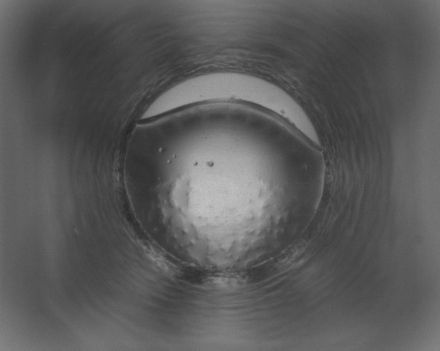 X0000067480466200604211637