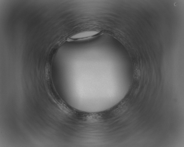 X0000067480468200604211637