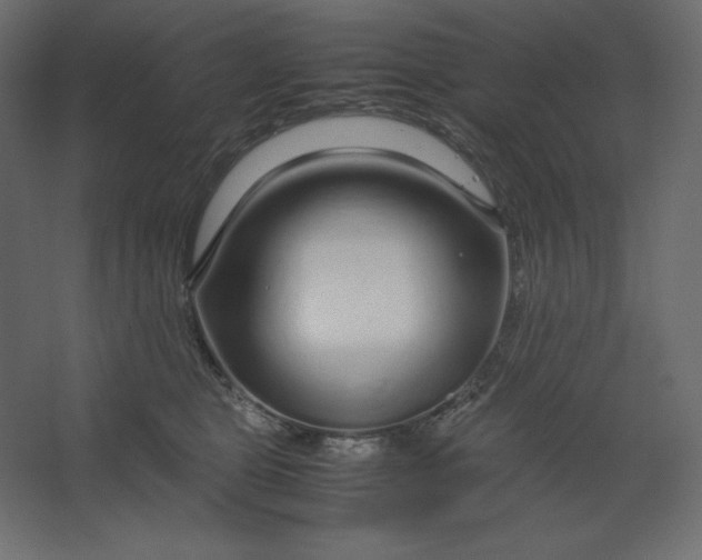 X0000067480469200604211638