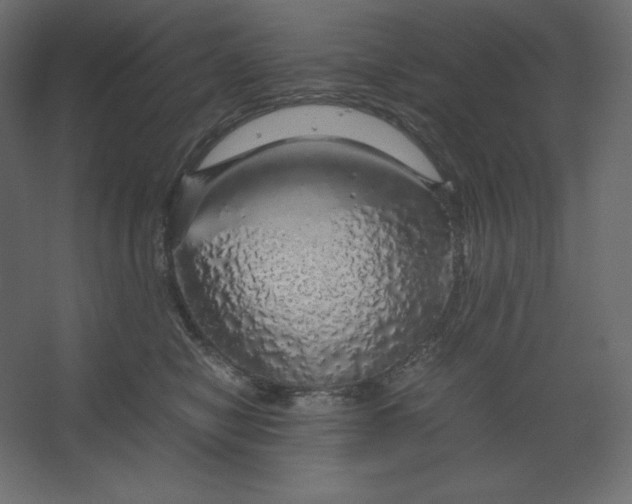 X0000067480470200604211638