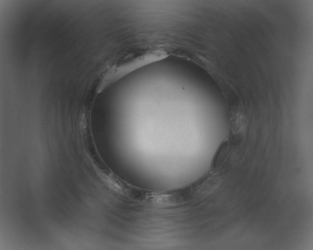 X0000067480472200604211638