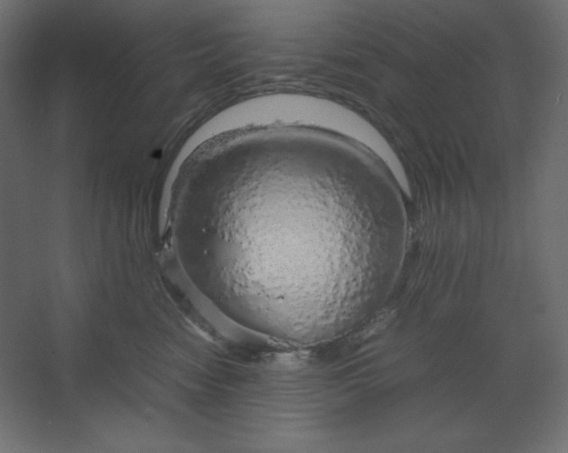 X0000067480474200604211638