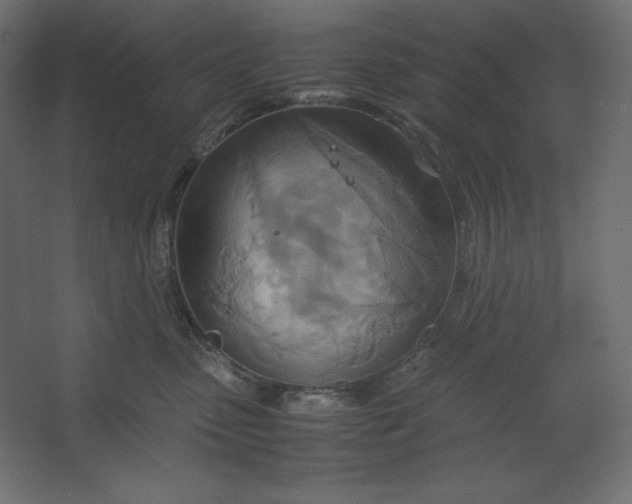 X0000067480475200604211638