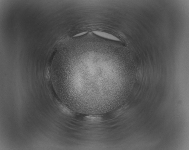 X0000067480477200604211638