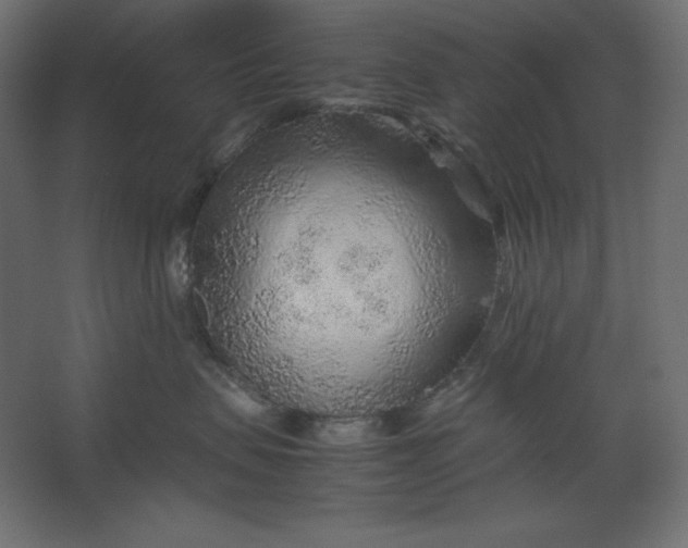 X0000067480479200604211638