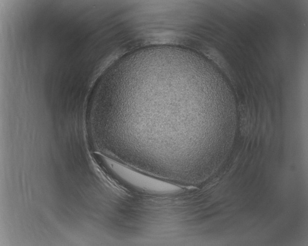 X0000067480482200604211637