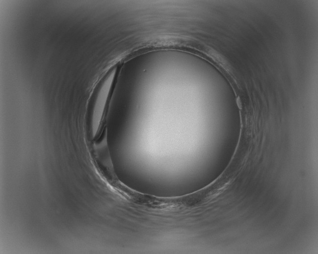 X0000067480485200604211637