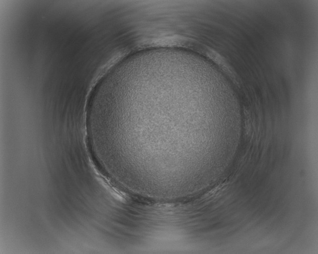 X0000067480486200604211637