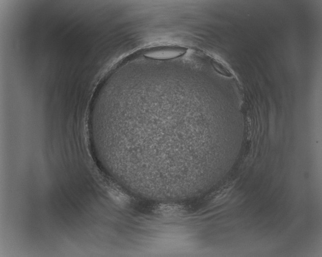 X0000067480487200604211637