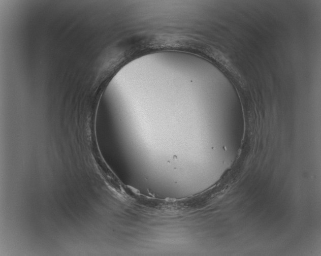 X0000067480489200604211637