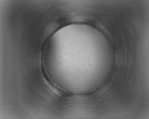 X0000067480490200604211637