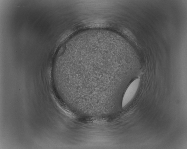 X0000067480491200604211637