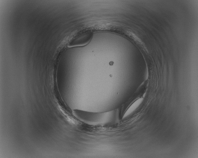 X0000067480493200604211637