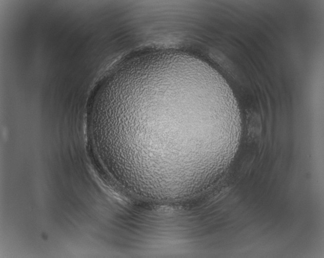 X0000067480494200604211637