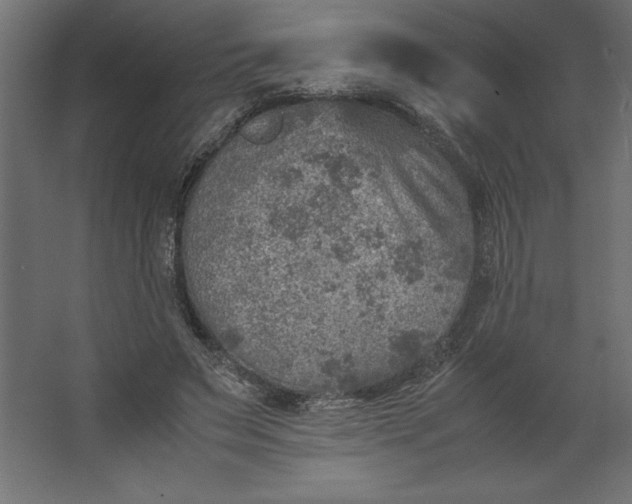 X0000067480495200604211637