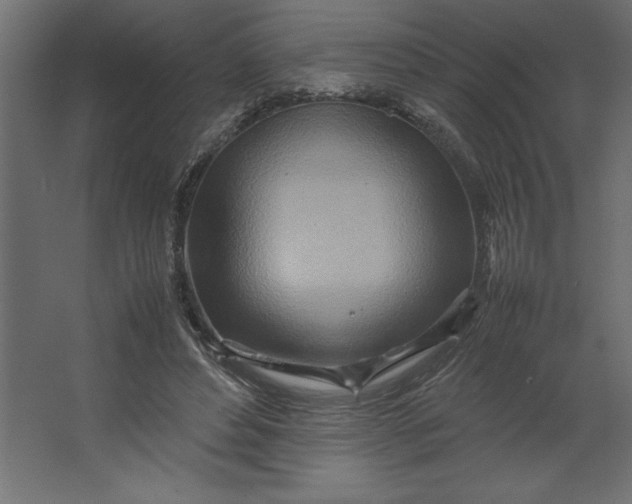 X0000067480496200604211637