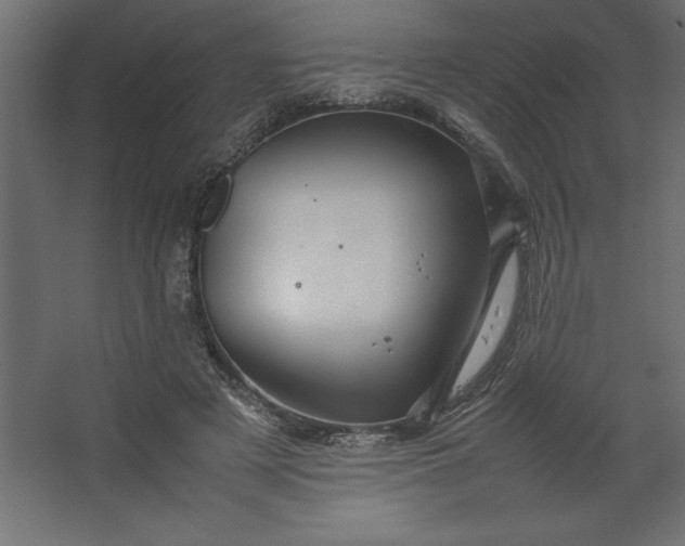 X0000067480497200604211637