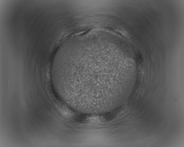 X0000067480499200604211637